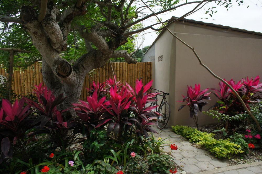 Rincon D'Olon Boutique Hotel Eksteriør billede