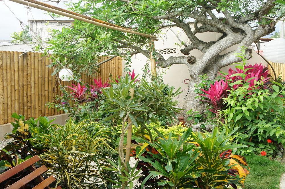 Rincon D'Olon Boutique Hotel Eksteriør billede